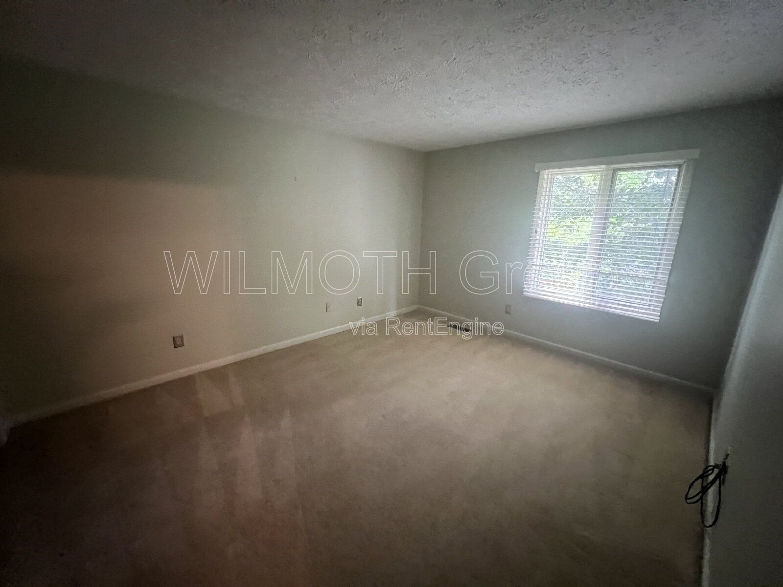 5-Bedroom Retreat with Finished Basement & Fireplace on Limberlost Drive property image