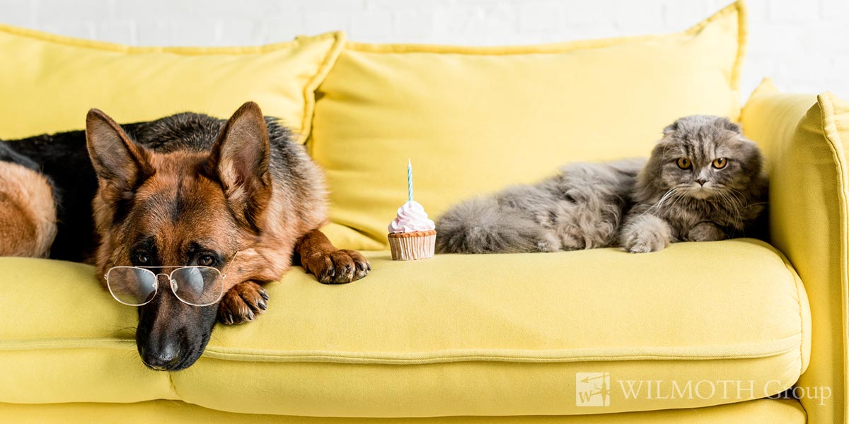 So… Pets in Your Indianapolis Rental Properties?