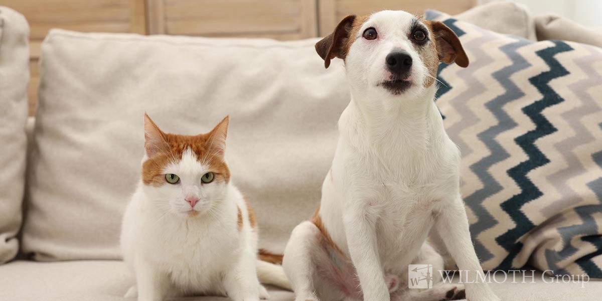 The Pros and Cons of Allowing Pets in Indiana Rentals